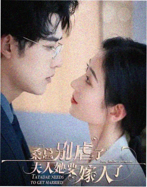 密桃影视剧集《归途列车》海报