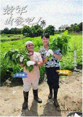 密桃影视综艺《一起露营吧》海报